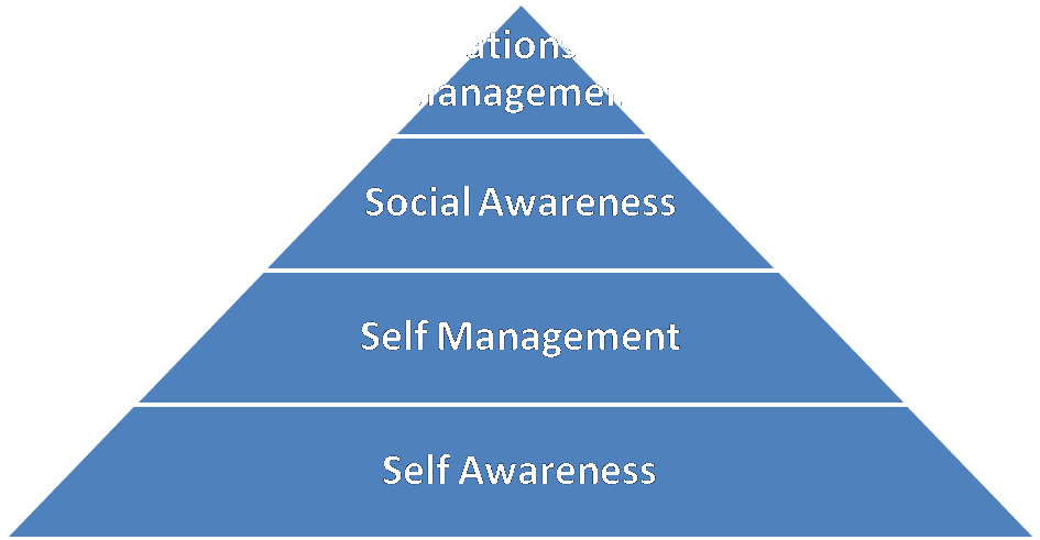 Emotional Intelligence and the Importance of Self– Management