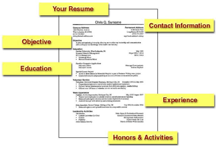 Great Resume
