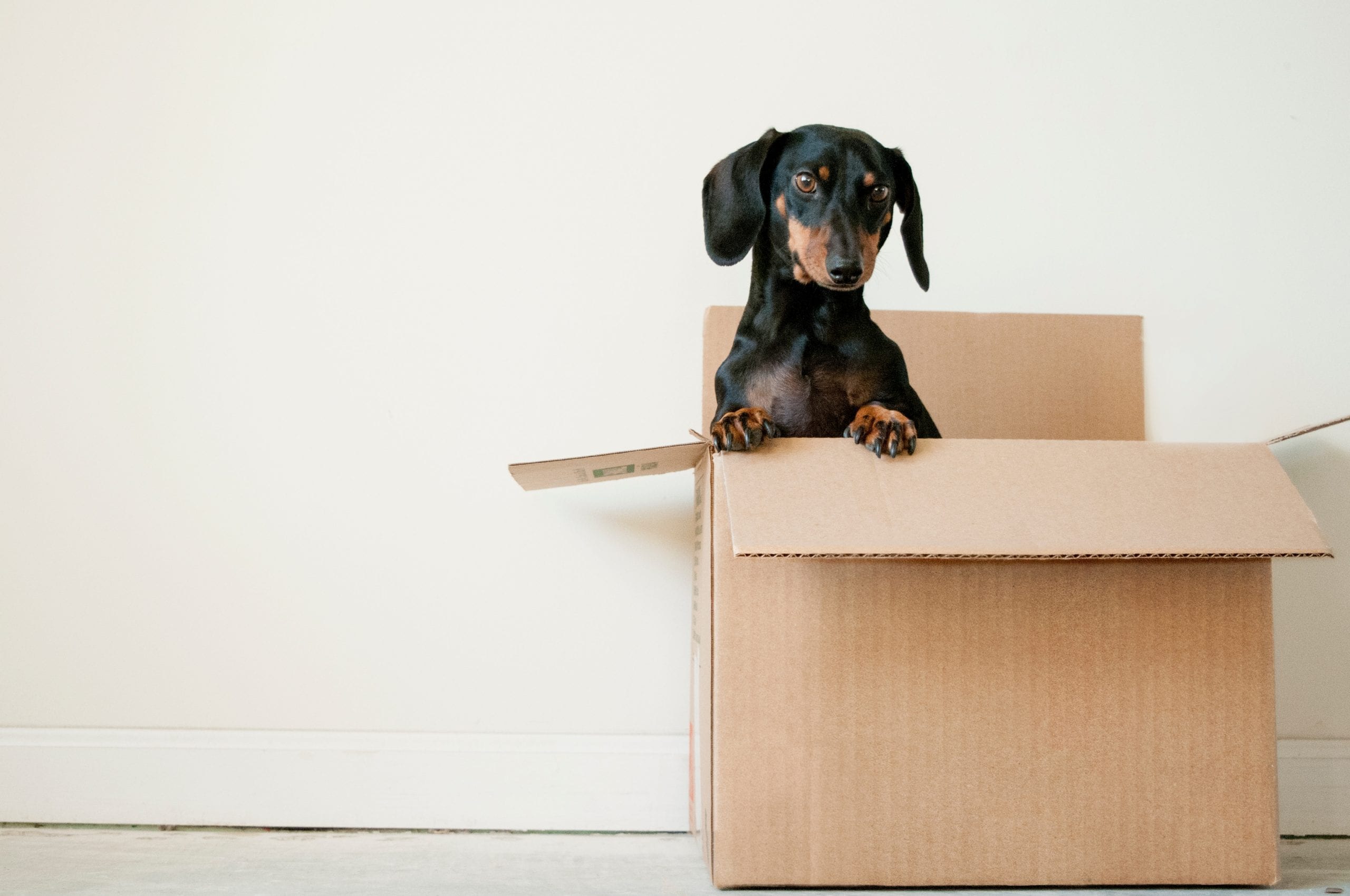 Marketing Services – How to Think Out of the Box