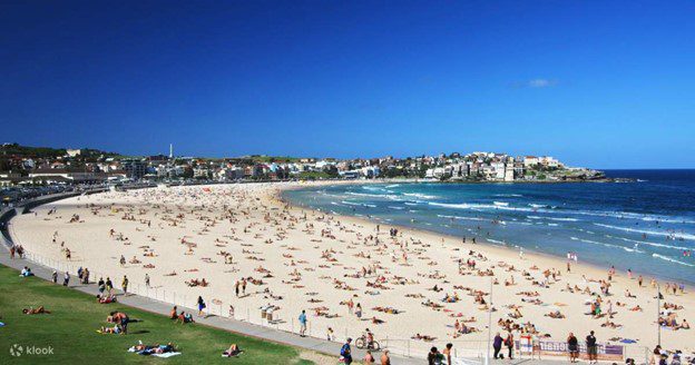 Junk Removal In Bondi – How We Save The Ocean From Waste
